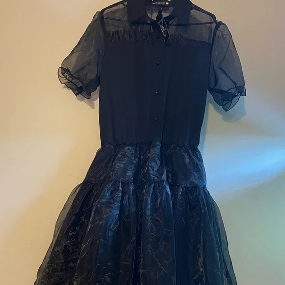 Black Dress - Picture 13 of 13